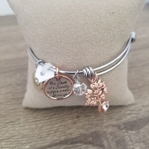 Footnotes Stainless Steel family bracelet